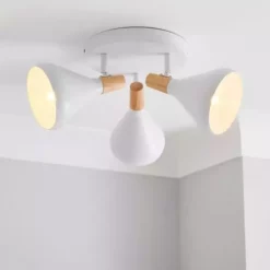 Elements Wolston 3 Light Spotlight