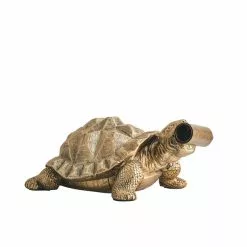 Dunelm Tafari Tortoise Table Lamp -Cheap wall lights Store 30770180 alt05