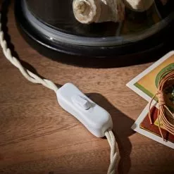 Natural History Museum Table Lamp Clear And Brass -Cheap wall lights Store 30803334 alt03